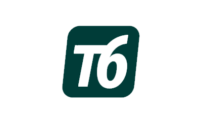 T6